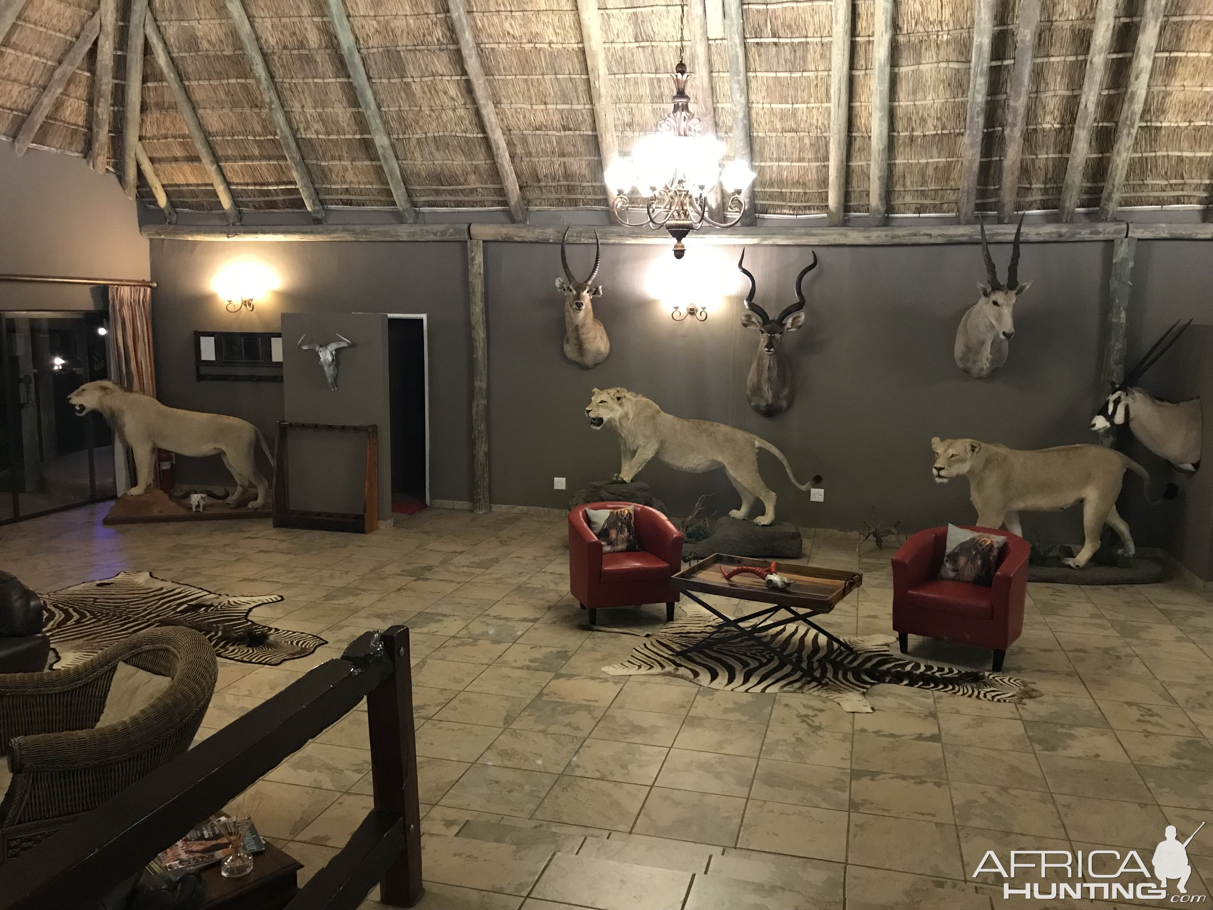 Hunting Lodge in South Africa