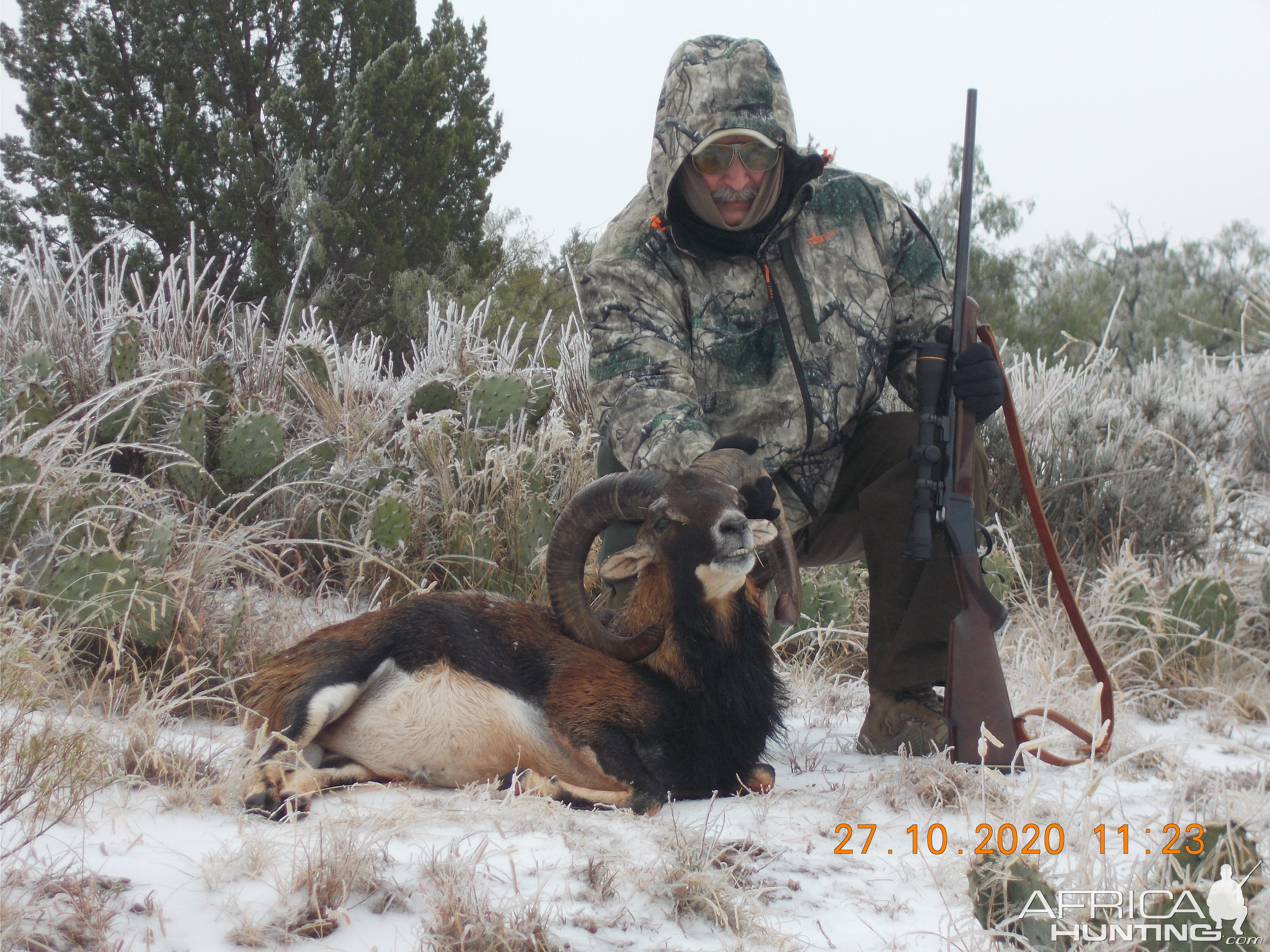 Hunting Mouflon in Texas USA