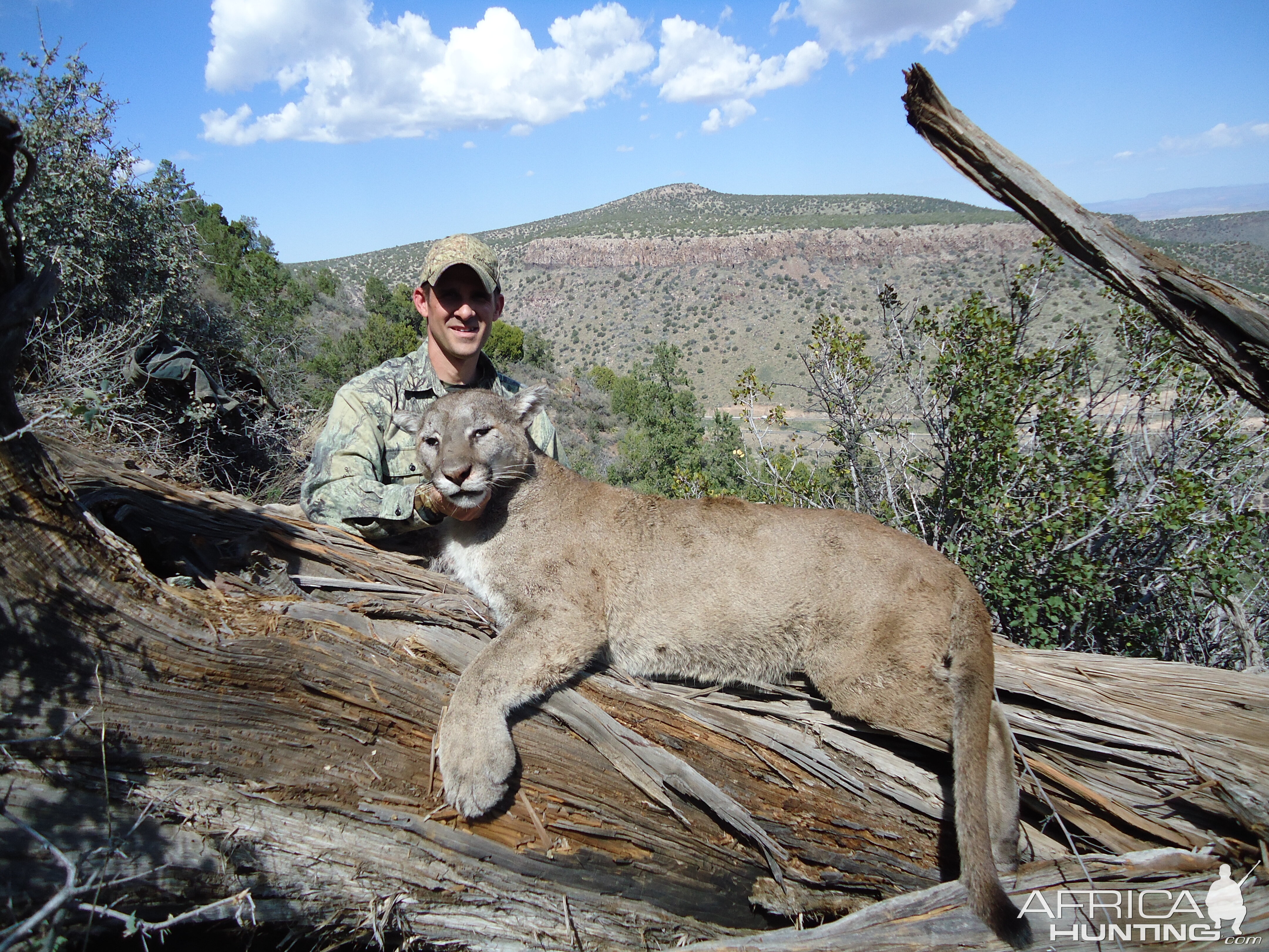 Hunting Mountain Lion