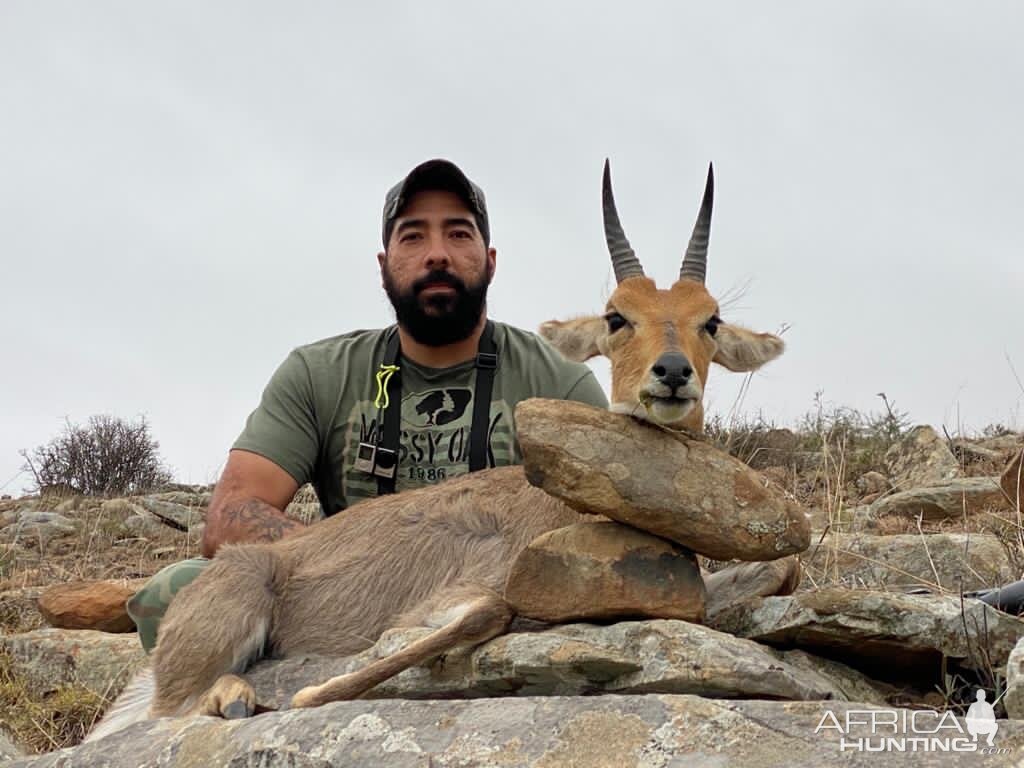 Hunting Mountain Reedbuck in South Africa