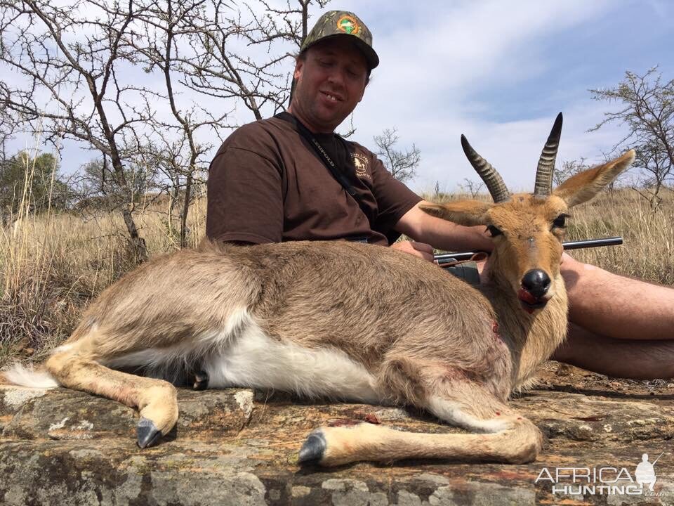 Hunting Mountain Reedbuck South Africa