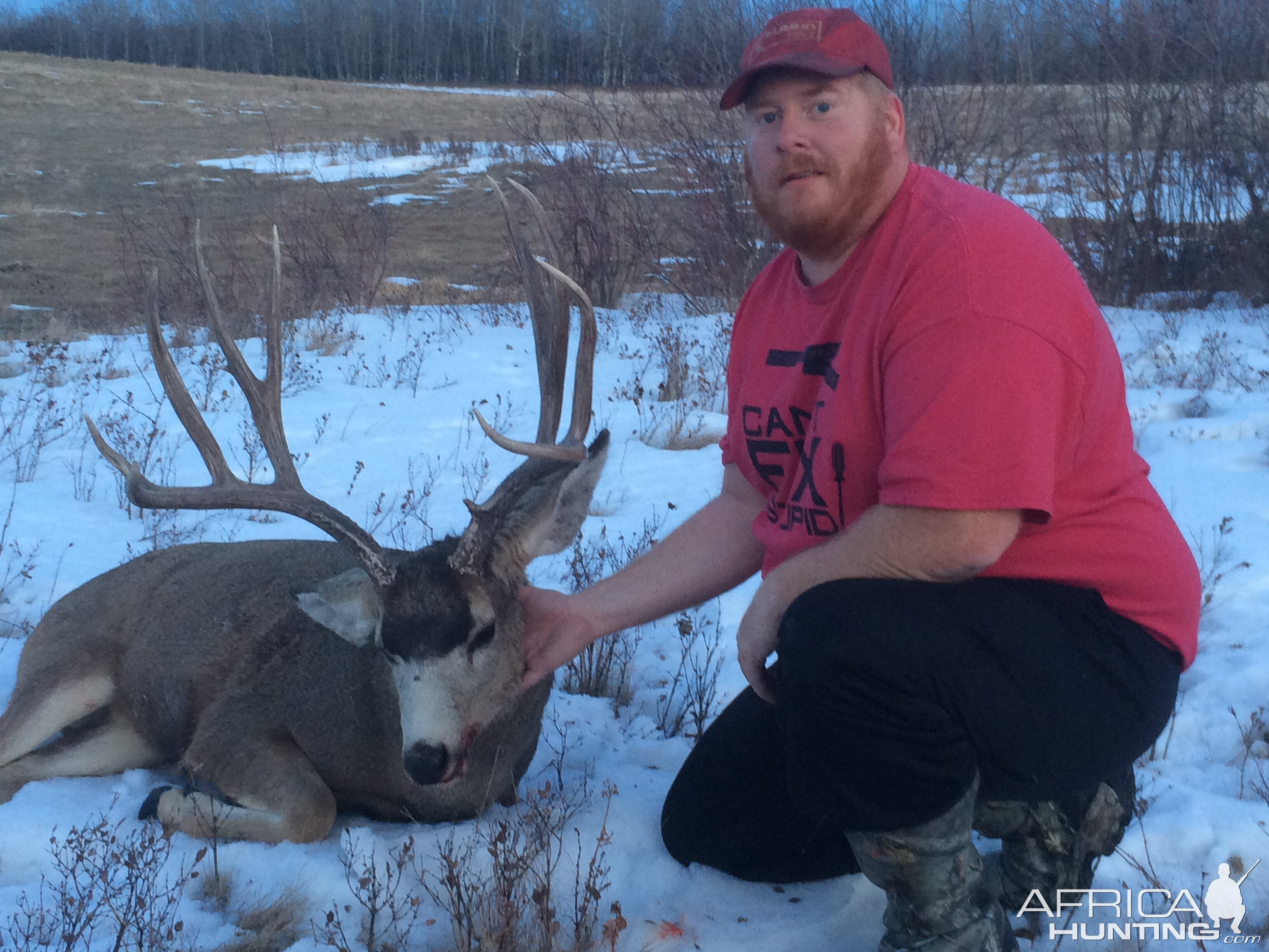 Hunting Mule Deer in Canada