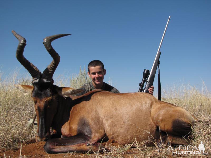 Hunting Namibia Red Hartebeest