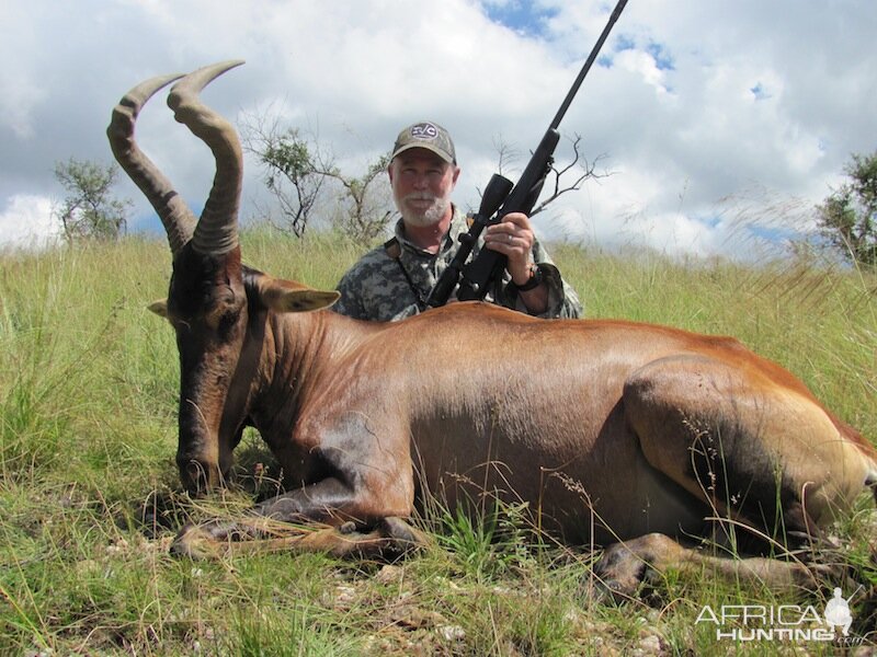 Hunting Namibia Red Hartebeest