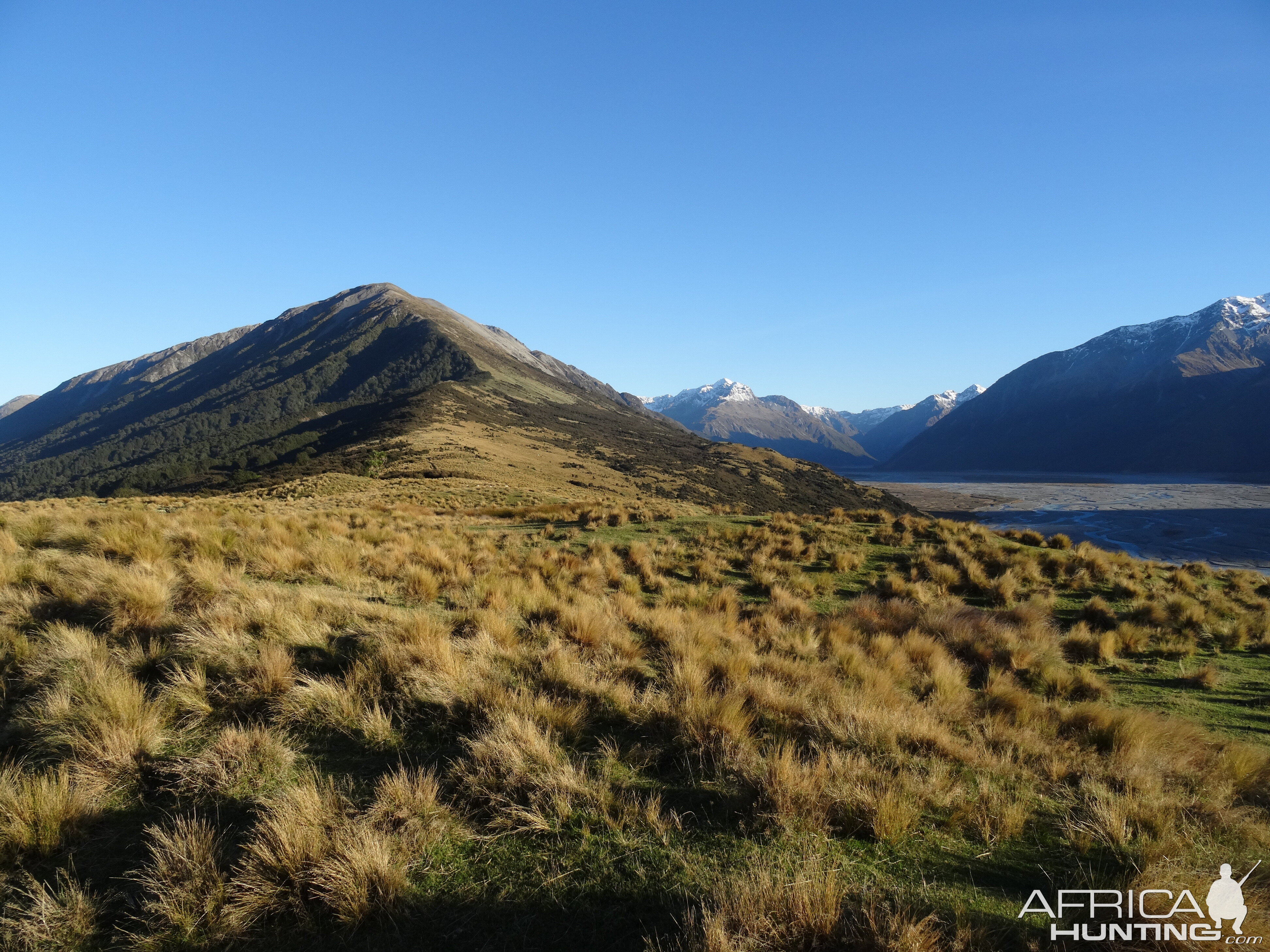 Hunting New Zealand