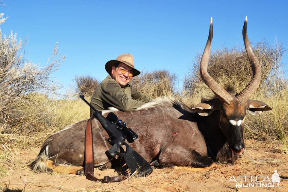 Hunting Nyala Namibia