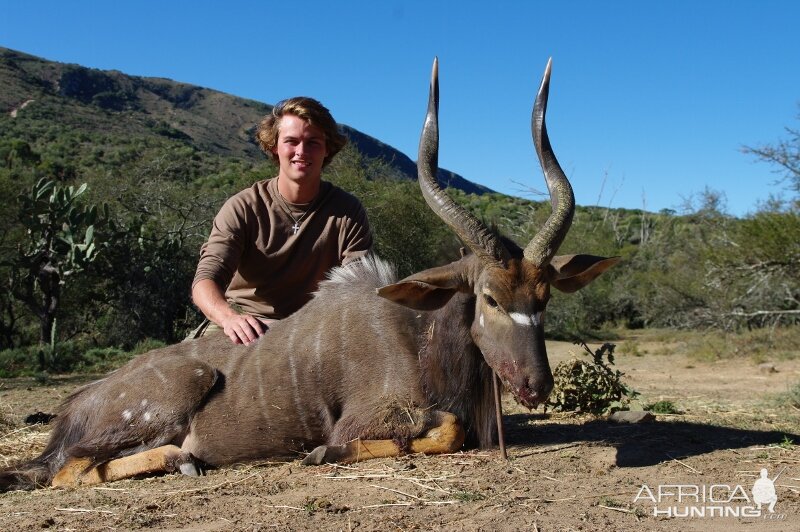 Hunting Nyala South Africa