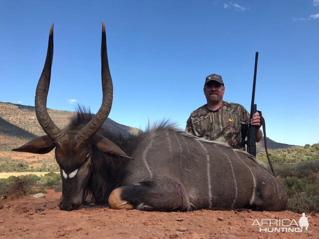 Hunting Nyala South Africa