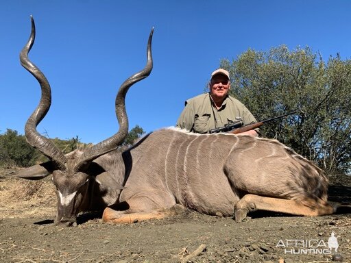 Hunting Old Kudu Bull South Africa