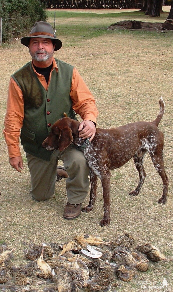 Hunting Partridge Argentina