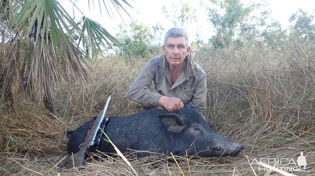 Hunting Pig Australia