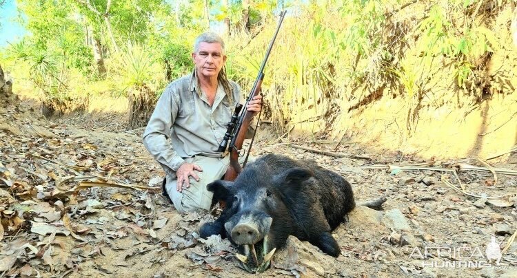 Hunting Pig Australia