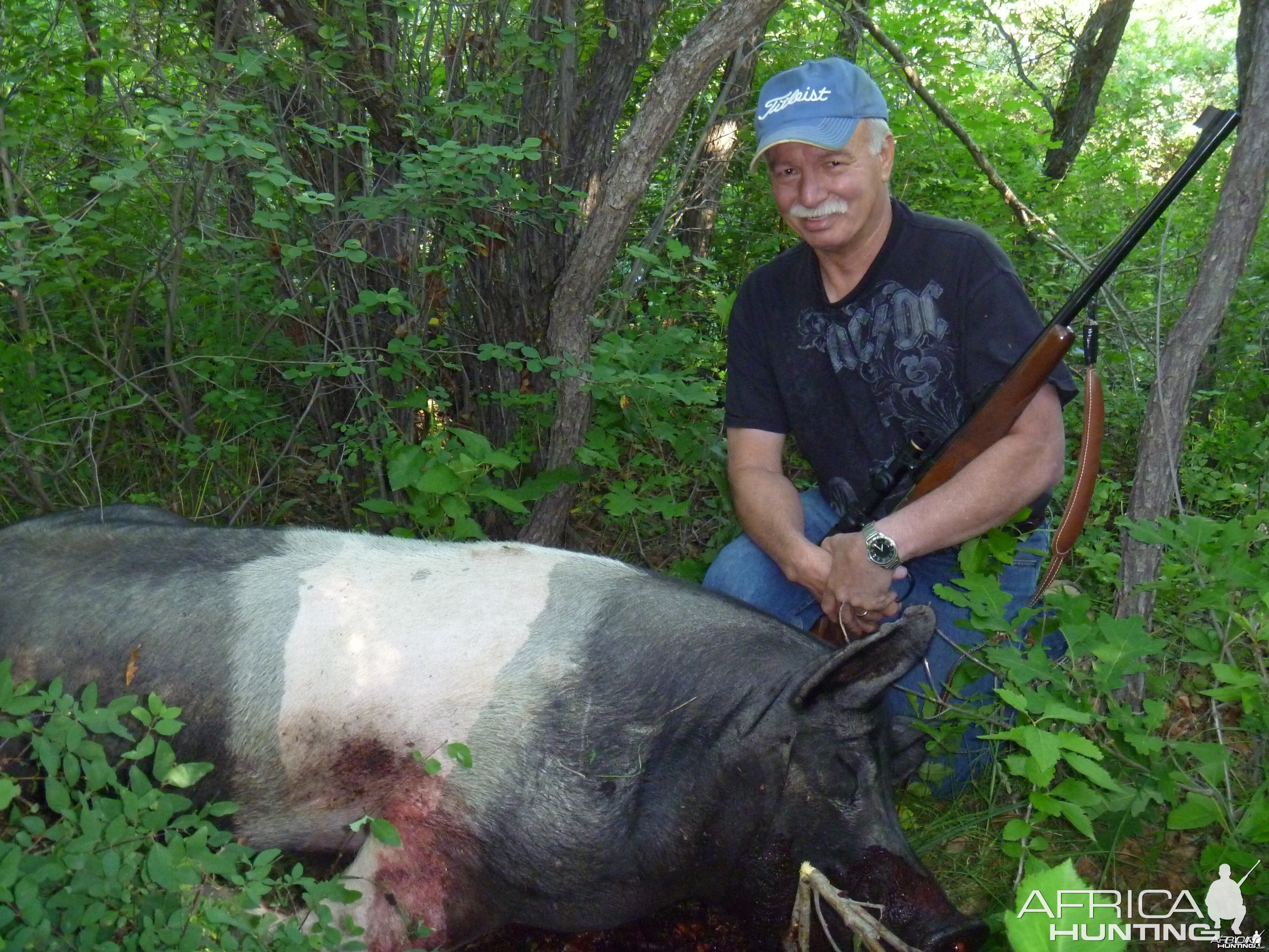 Hunting Pig