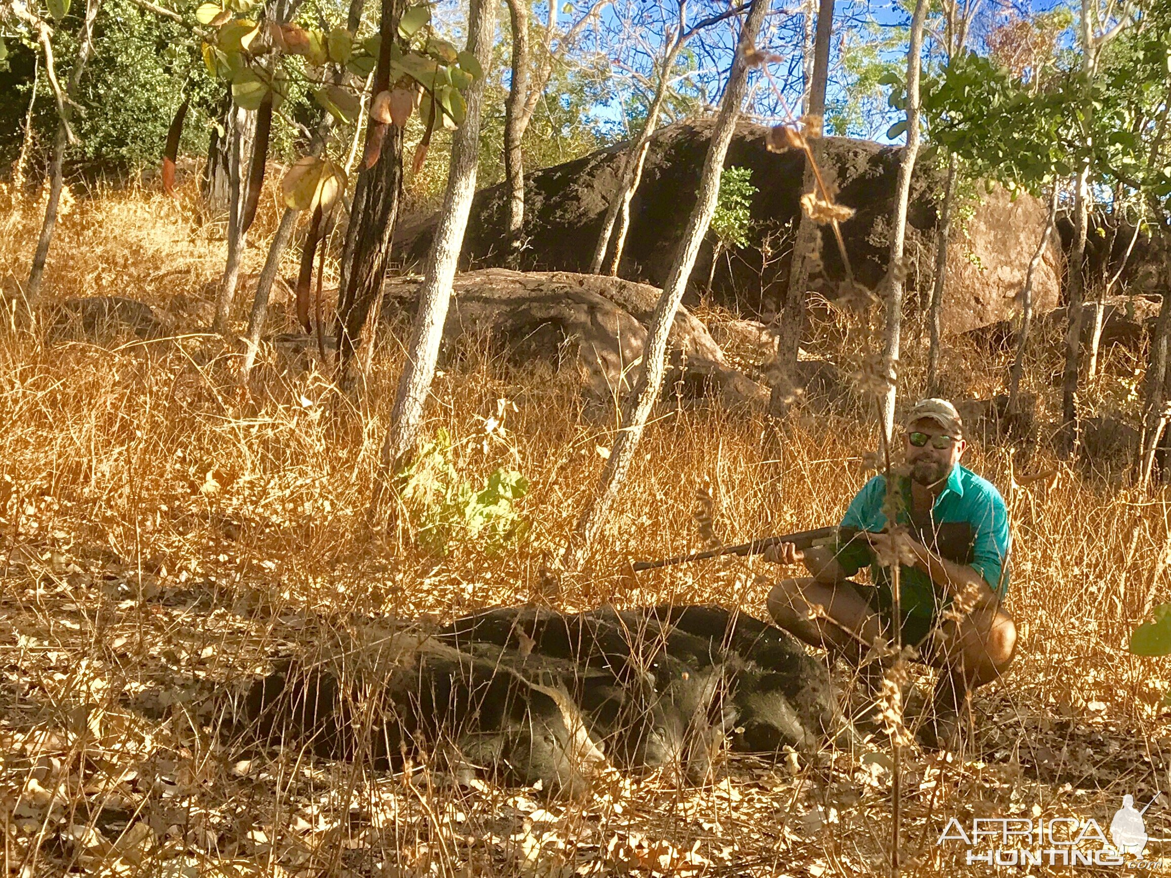 Hunting Pigs in Australia