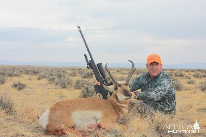 Hunting Pronghorn