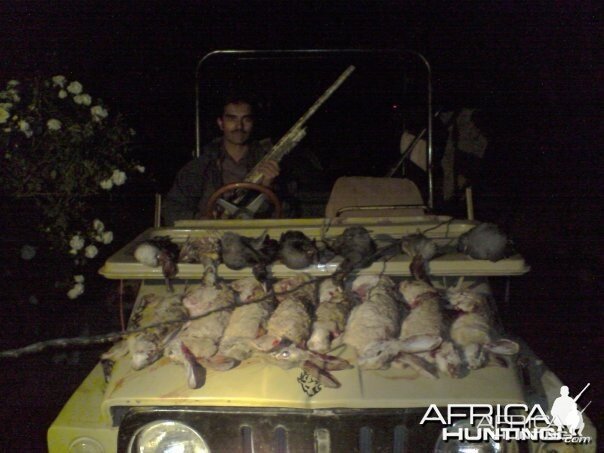 Hunting Rabbits in Pakistan