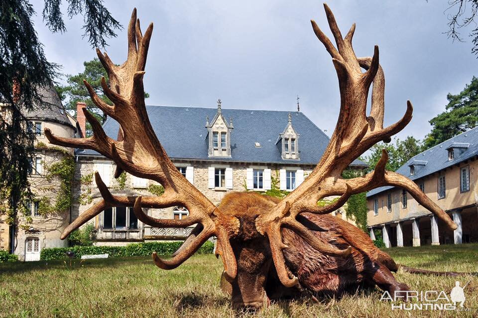 Hunting Red Deer France