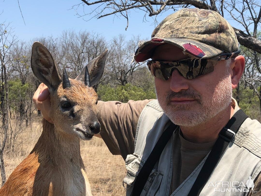 Hunting Red Duiker in Zimbabwe
