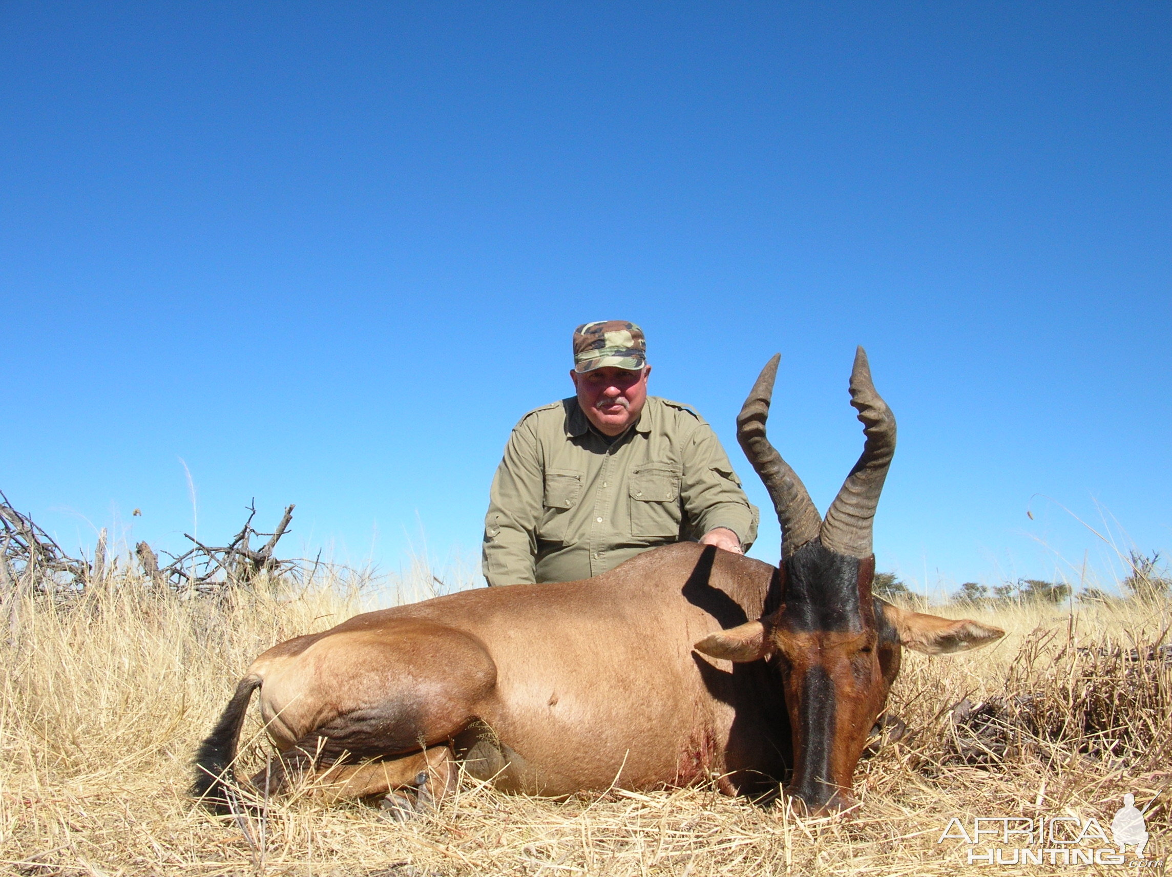 Hunting Red Hartebeest in Namibia