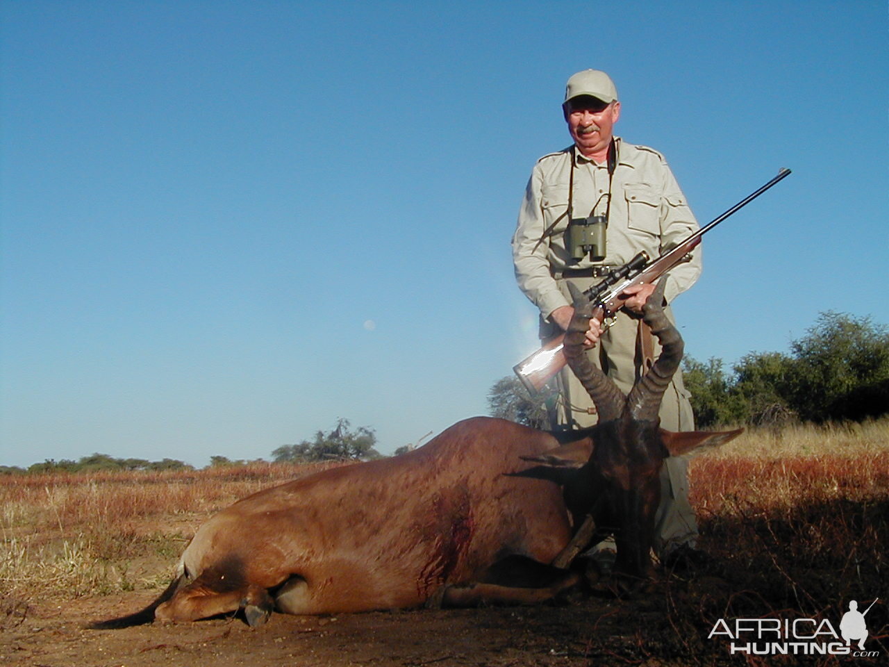 Hunting Red Hartebeest in Namibia