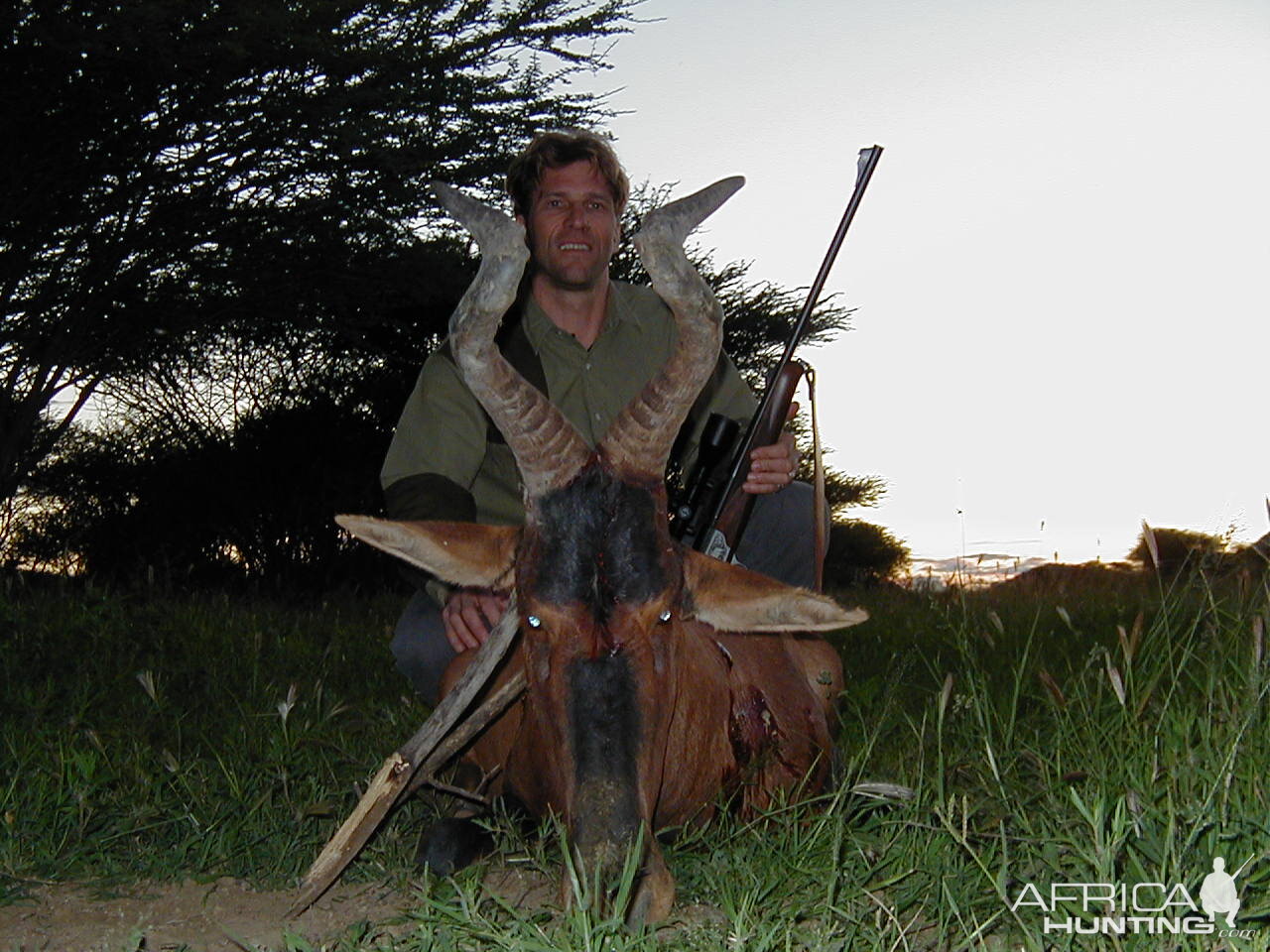 Hunting Red Hartebeest in Namibia