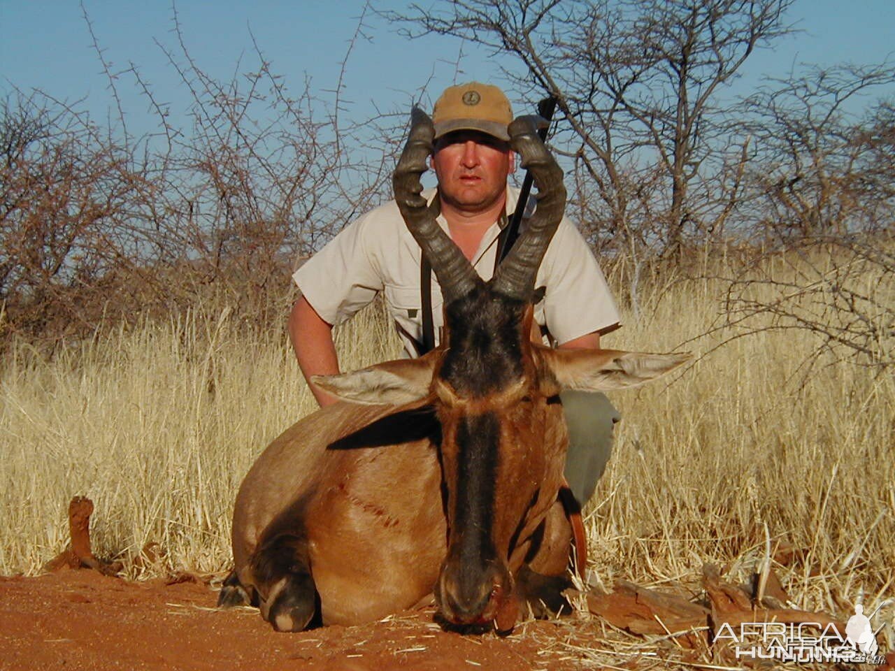 Hunting Red Hartebeest in Namibia