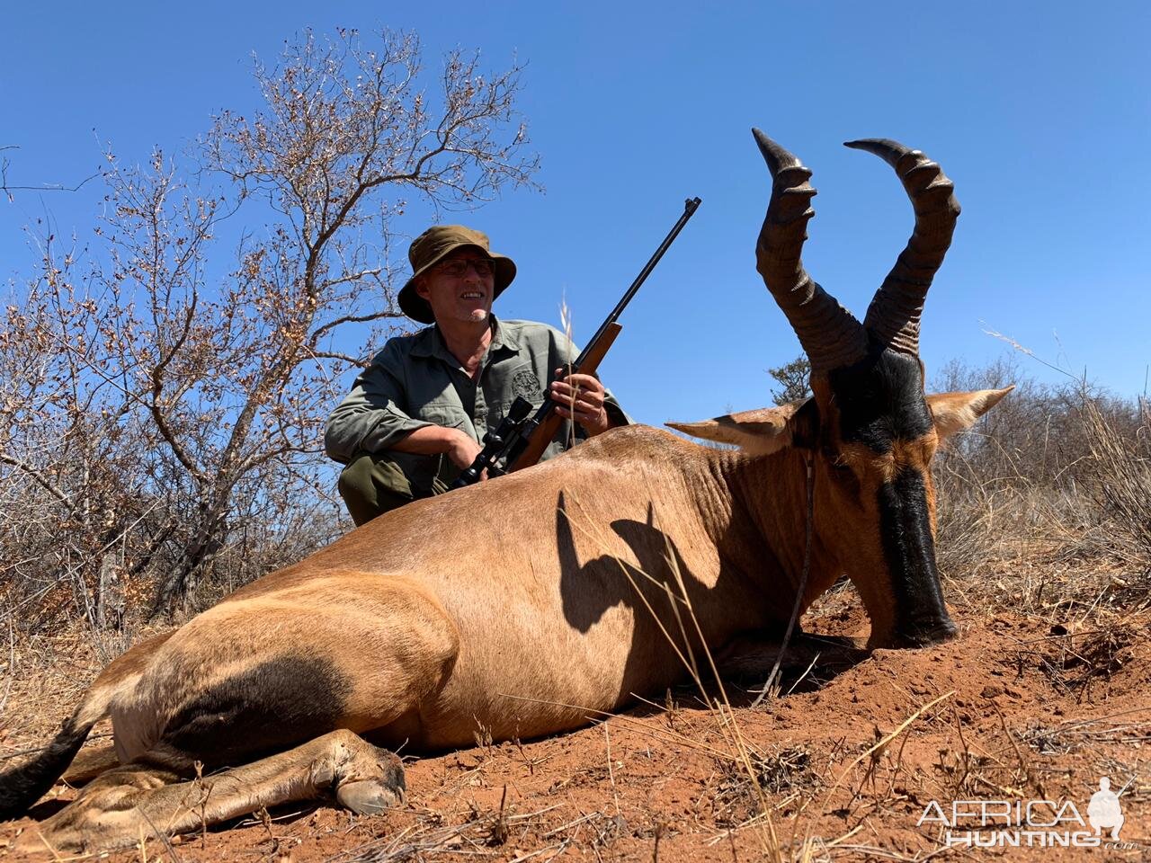 Hunting Red Hartebeest in South Africa