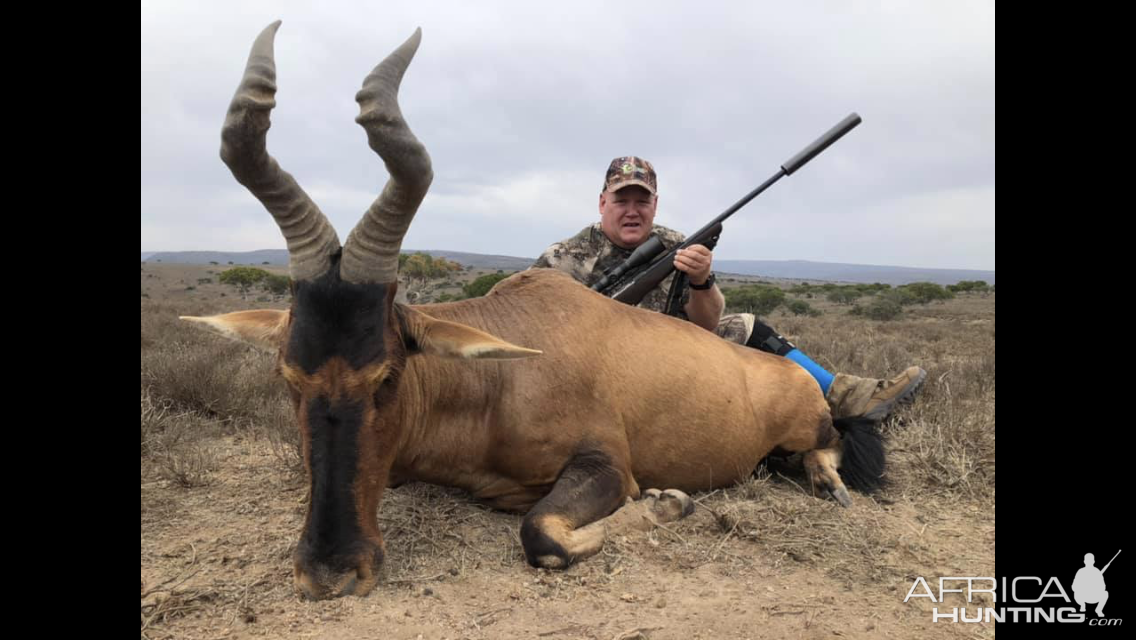 Hunting Red Hartebeest in South Africa