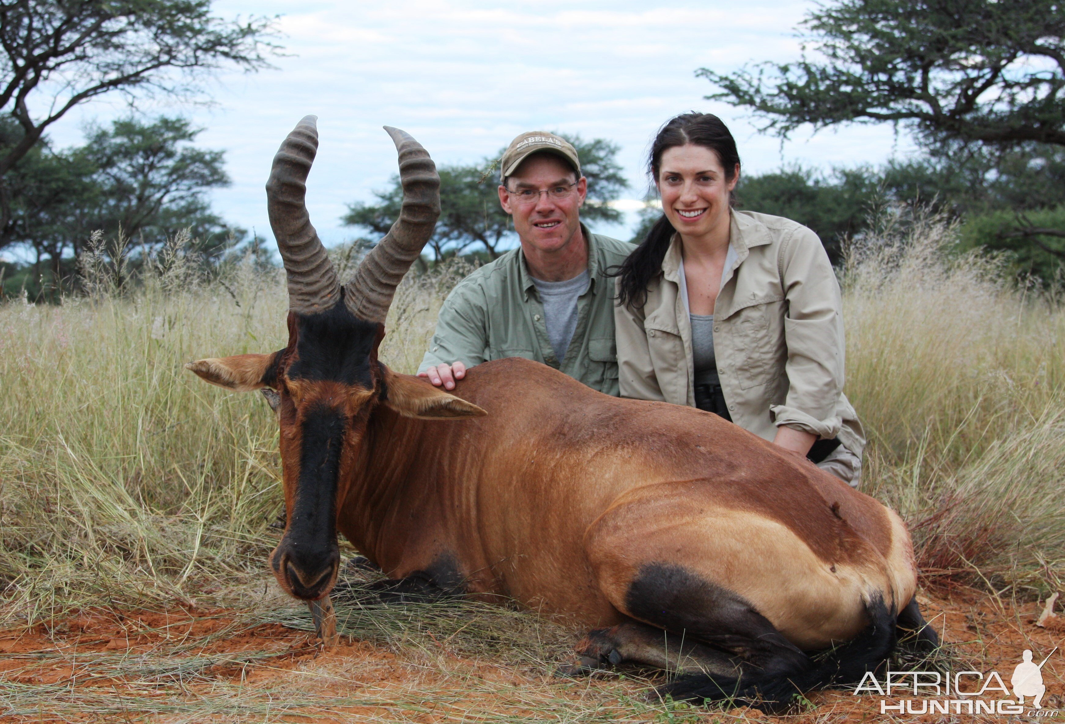Hunting Red Hartebeest