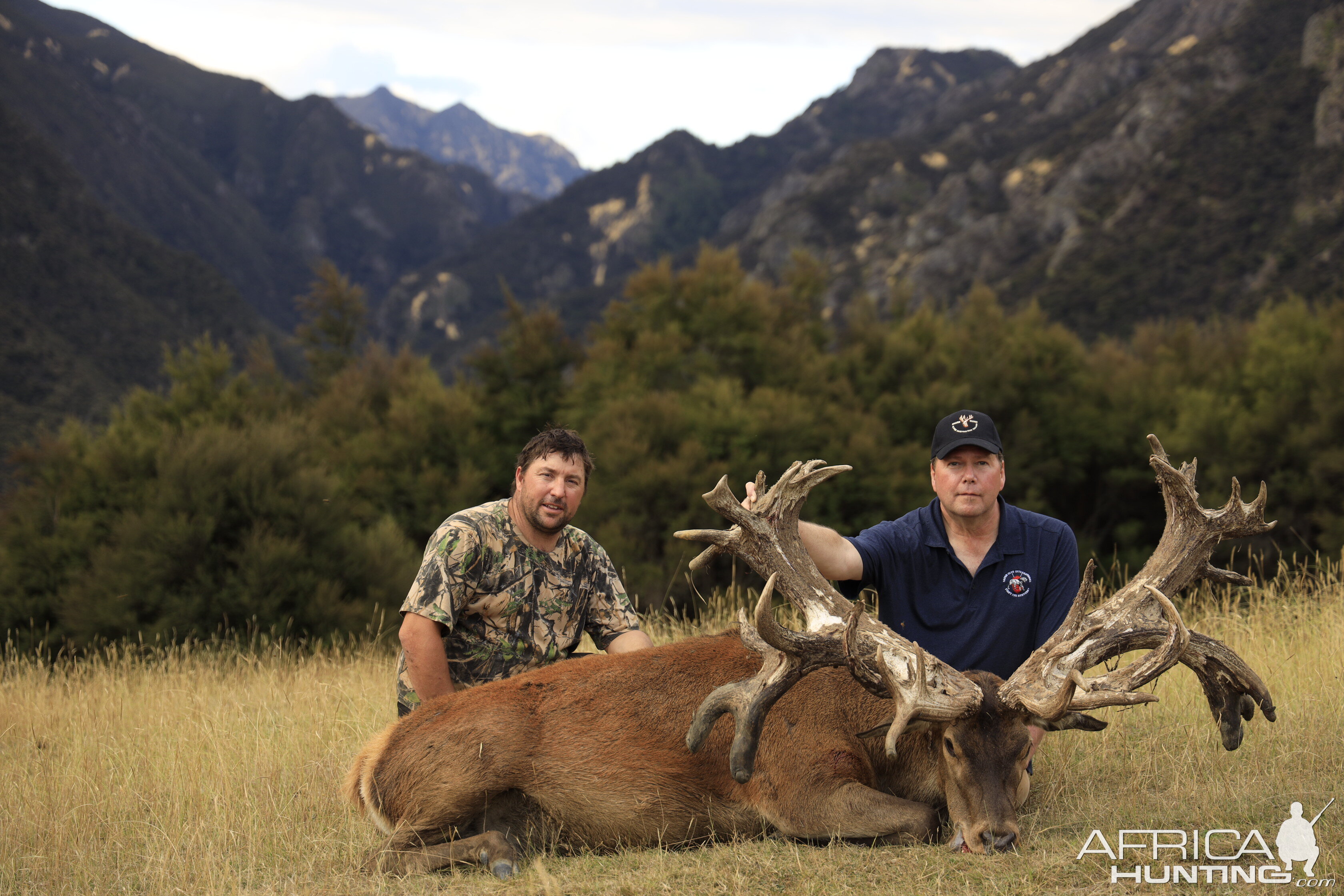 Hunting Red Stag in New Zealand