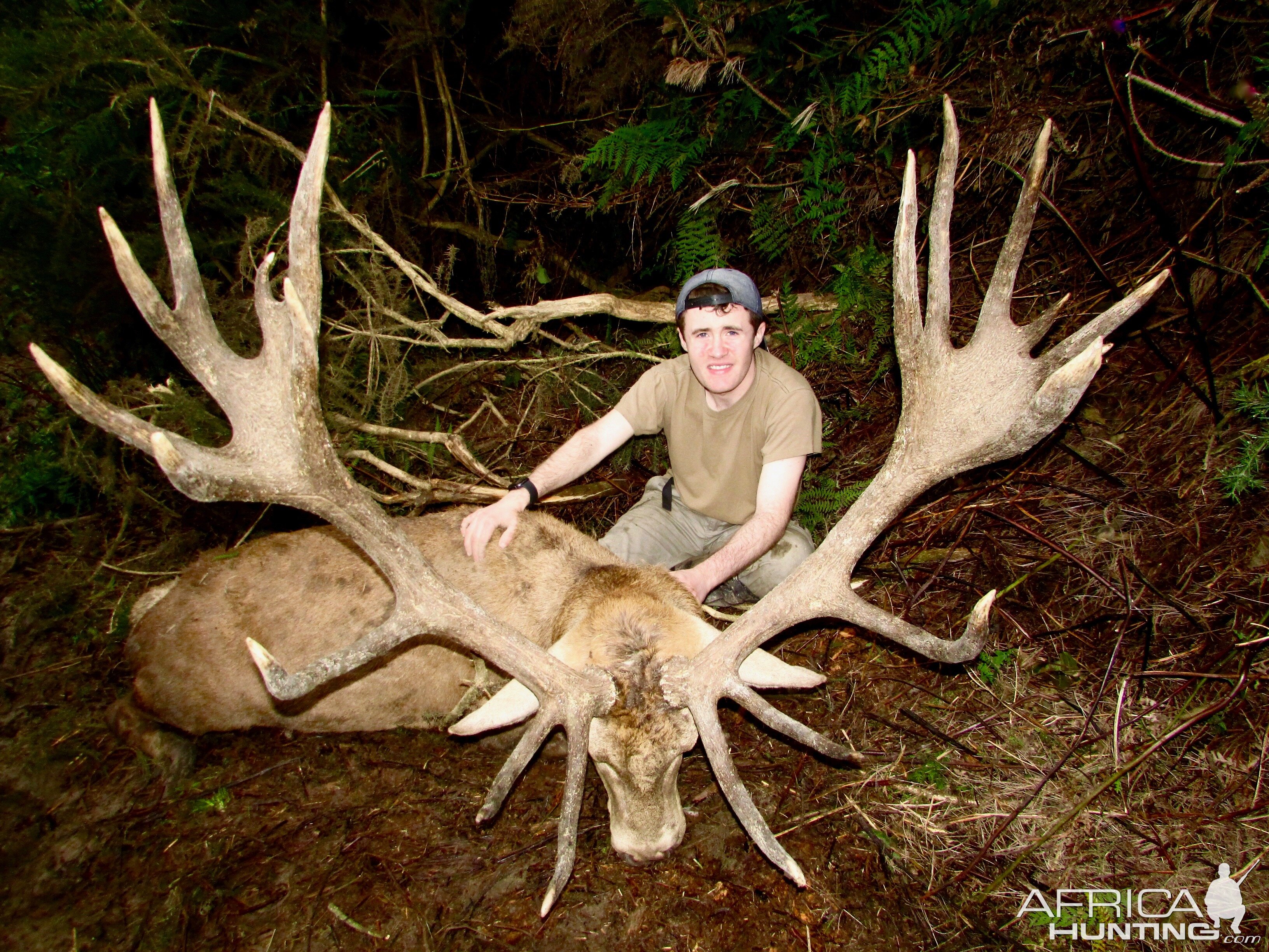 Hunting Red Stag in New Zealand