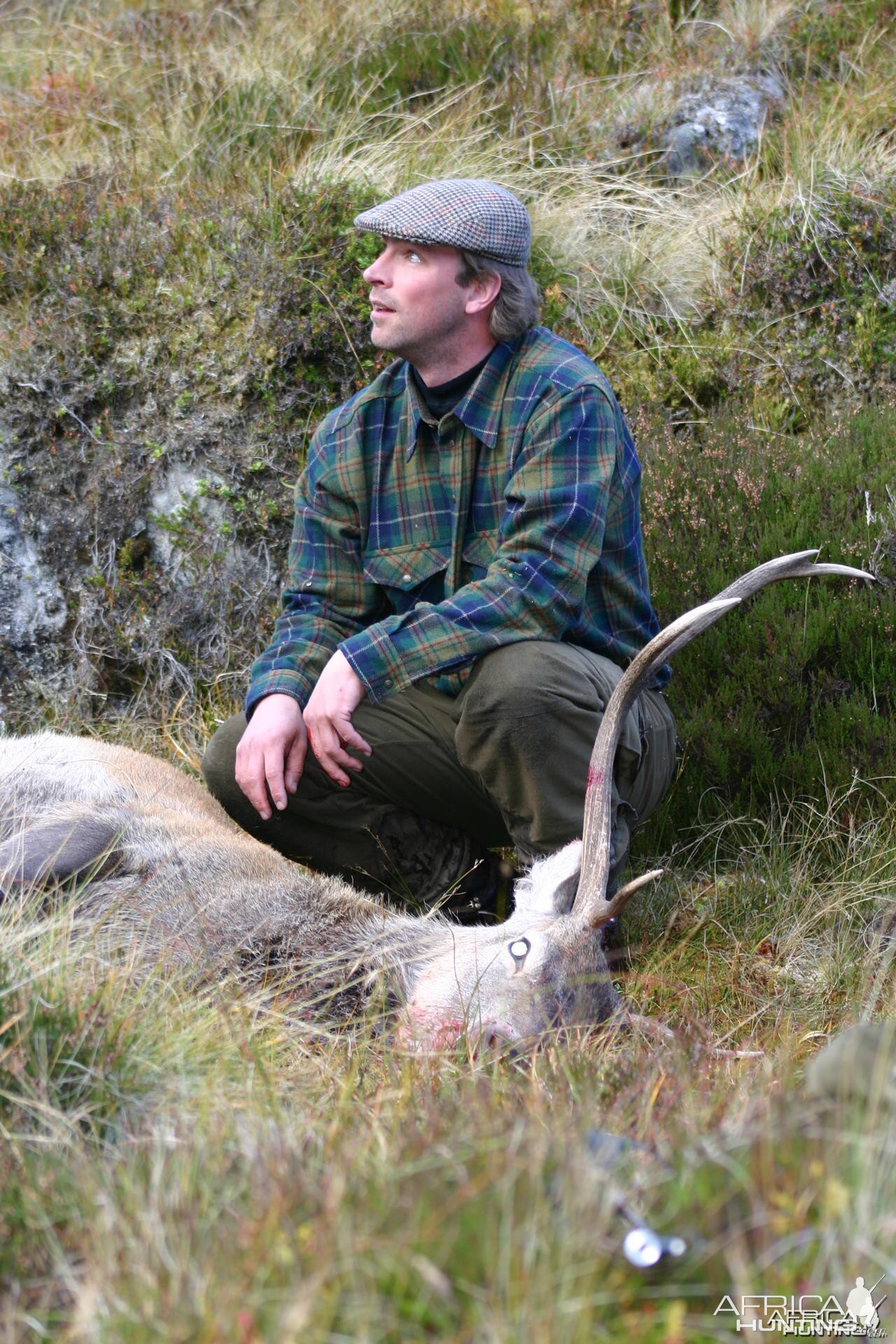 Hunting Red Stag in Scotland