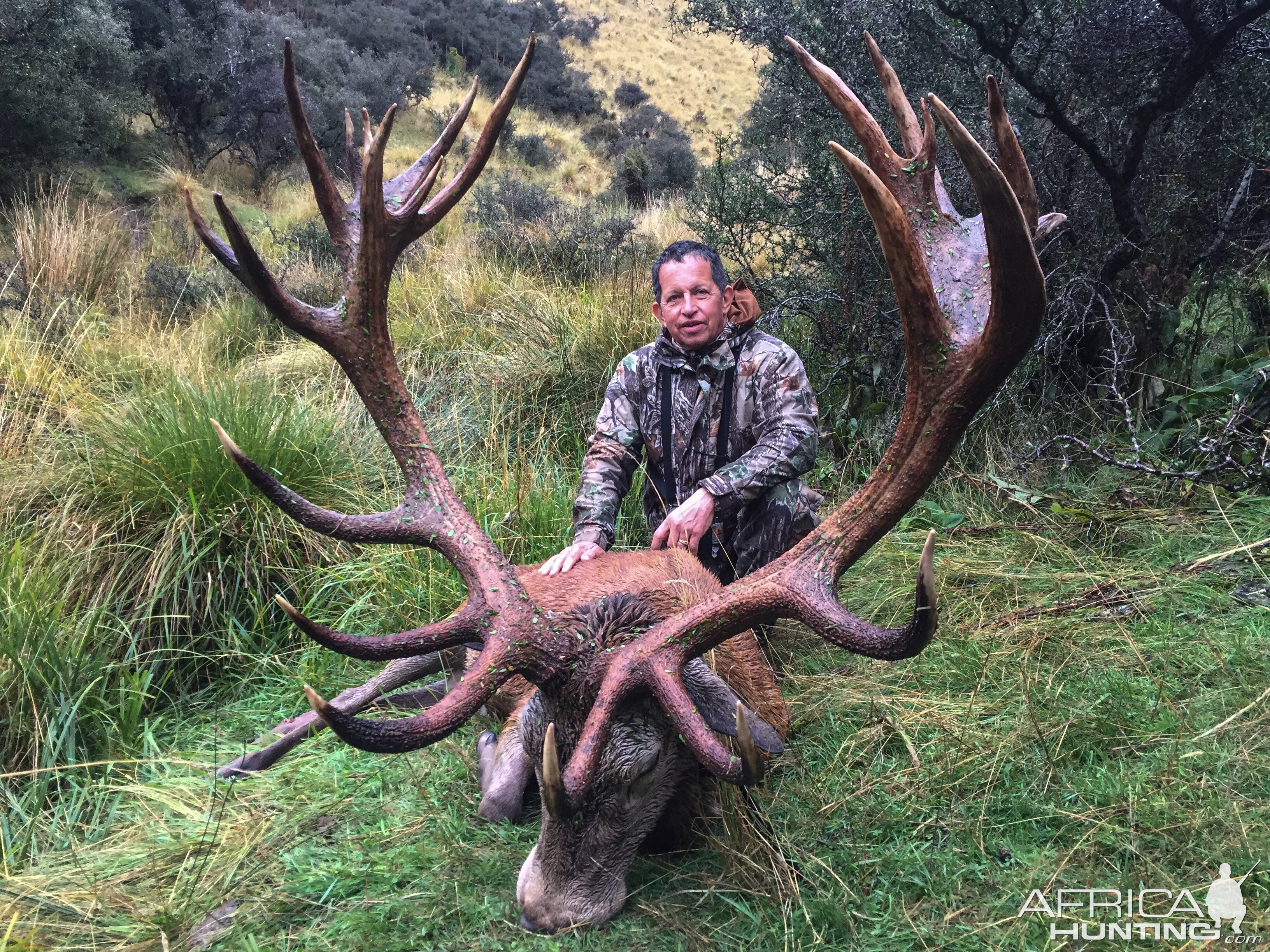 Hunting Red Stag New Zealand
