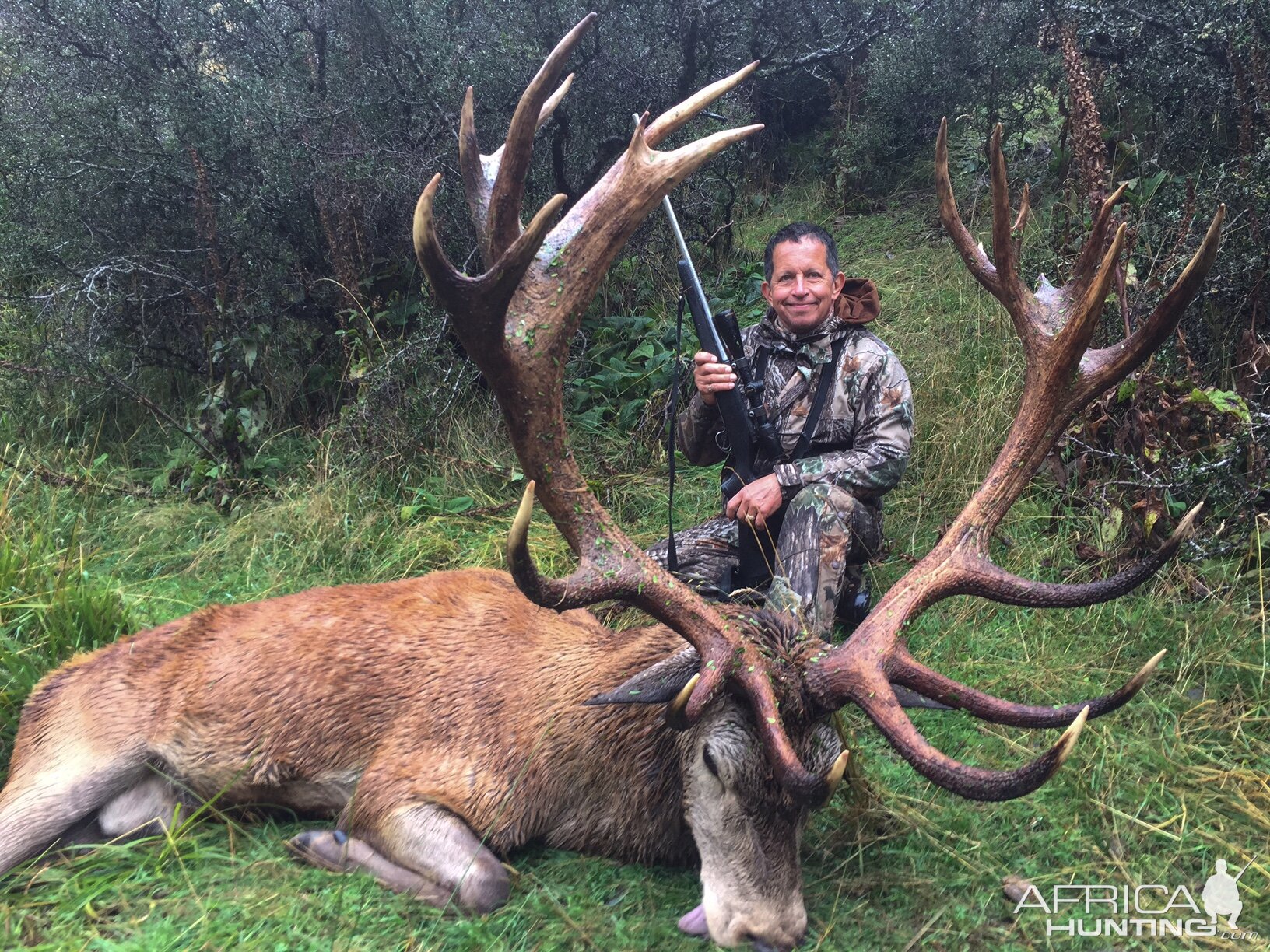 Hunting Red Stag New Zealand