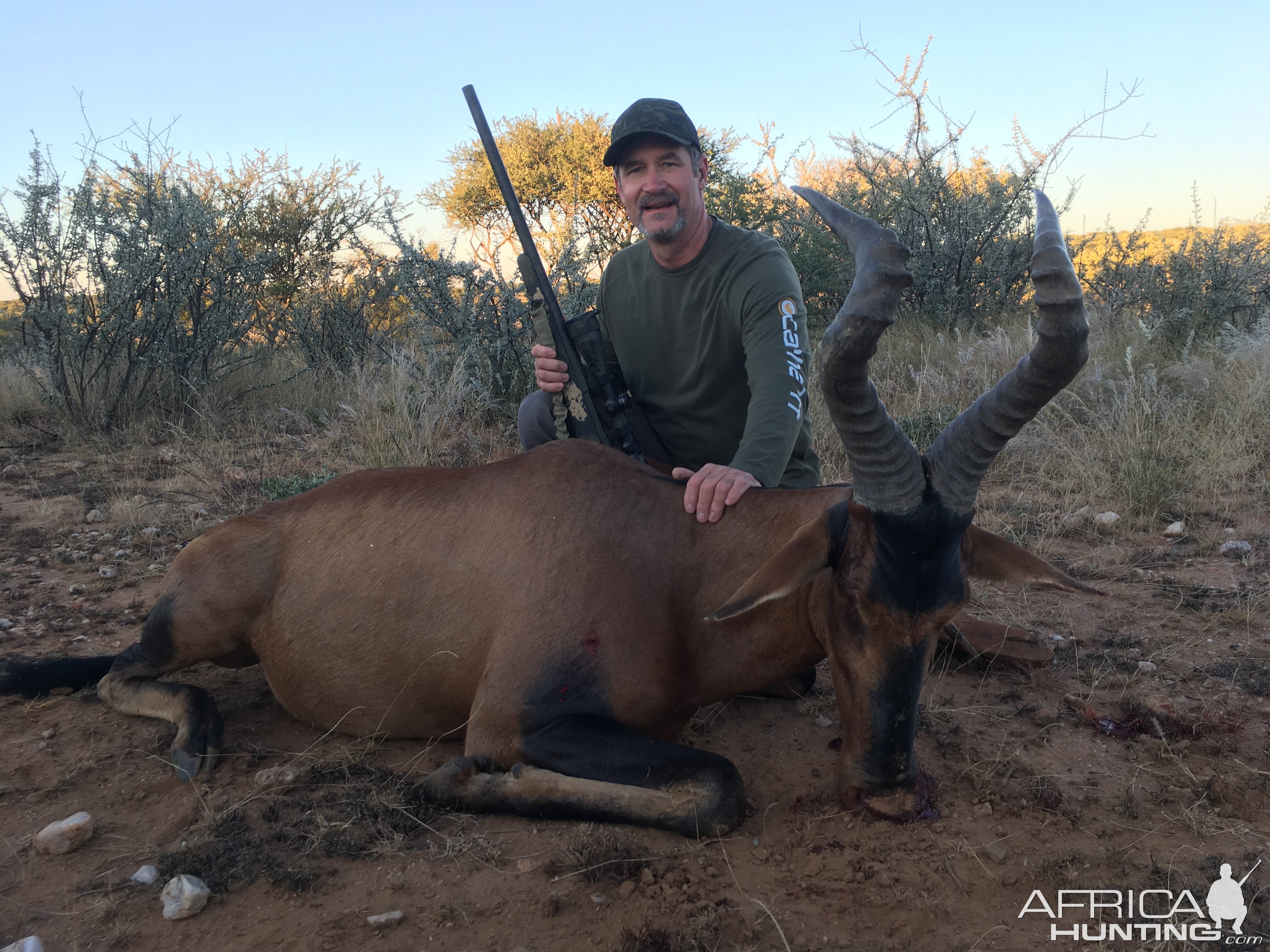 Hunting Red Wildebeest in Namibia
