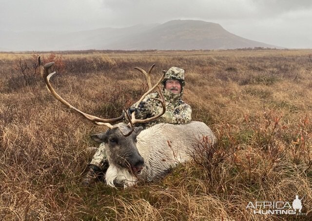 Hunting Reindeer in Alaska USA
