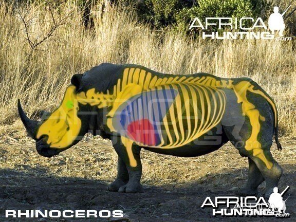 Hunting Rhinoceros Shot Placement