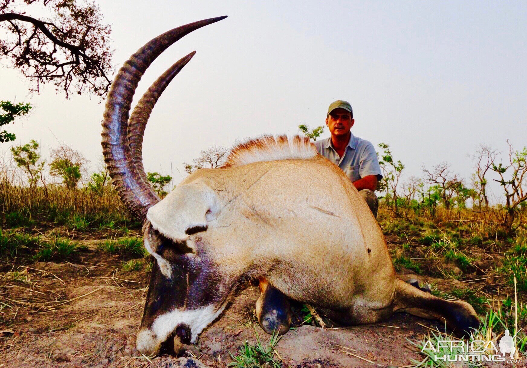 Hunting Roan Antelope Benin