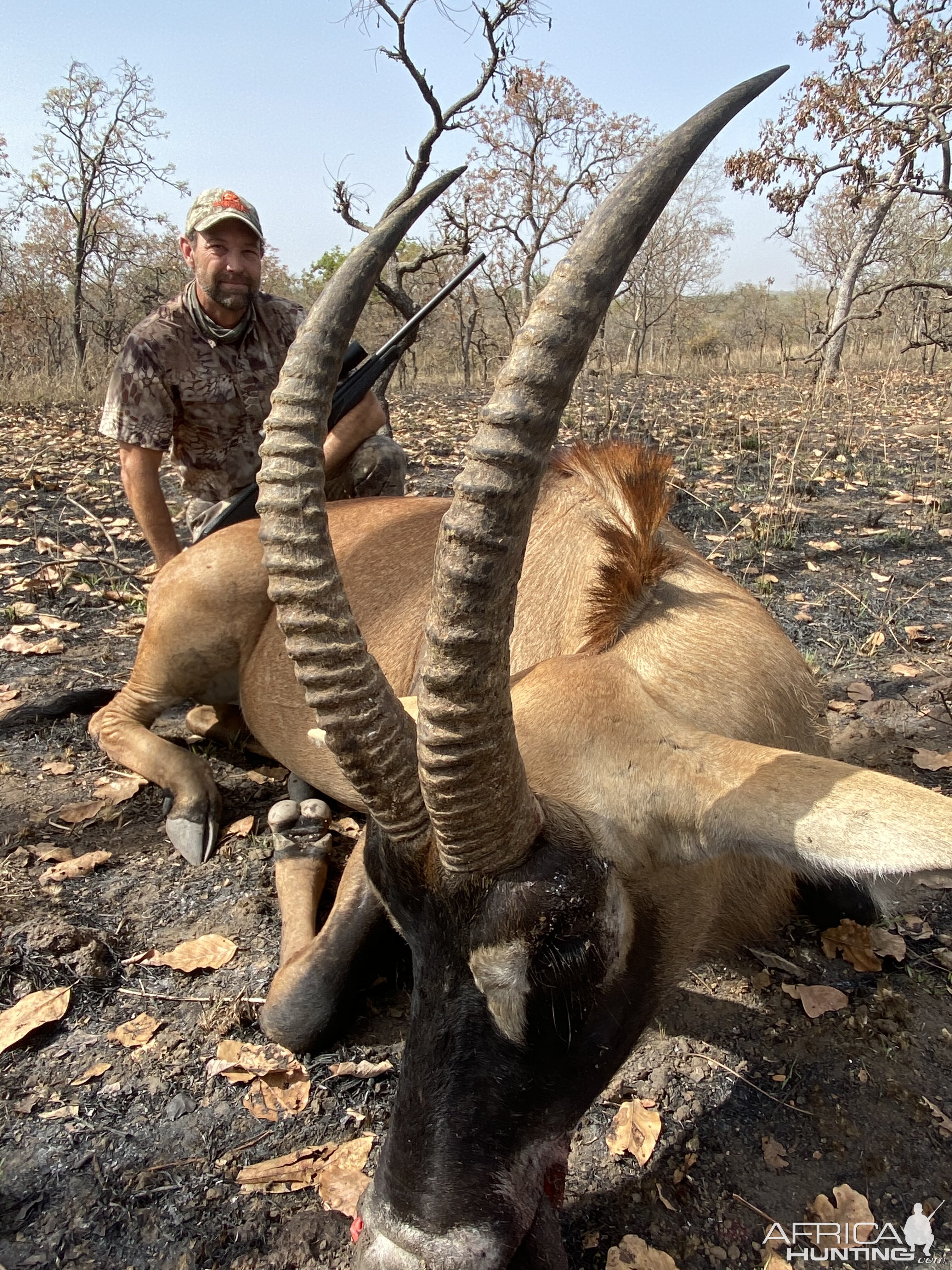 Hunting Roan in Cameroon