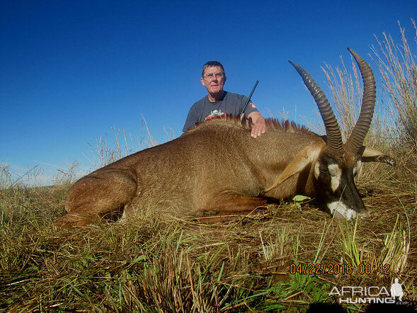 Hunting Roan in South Africa