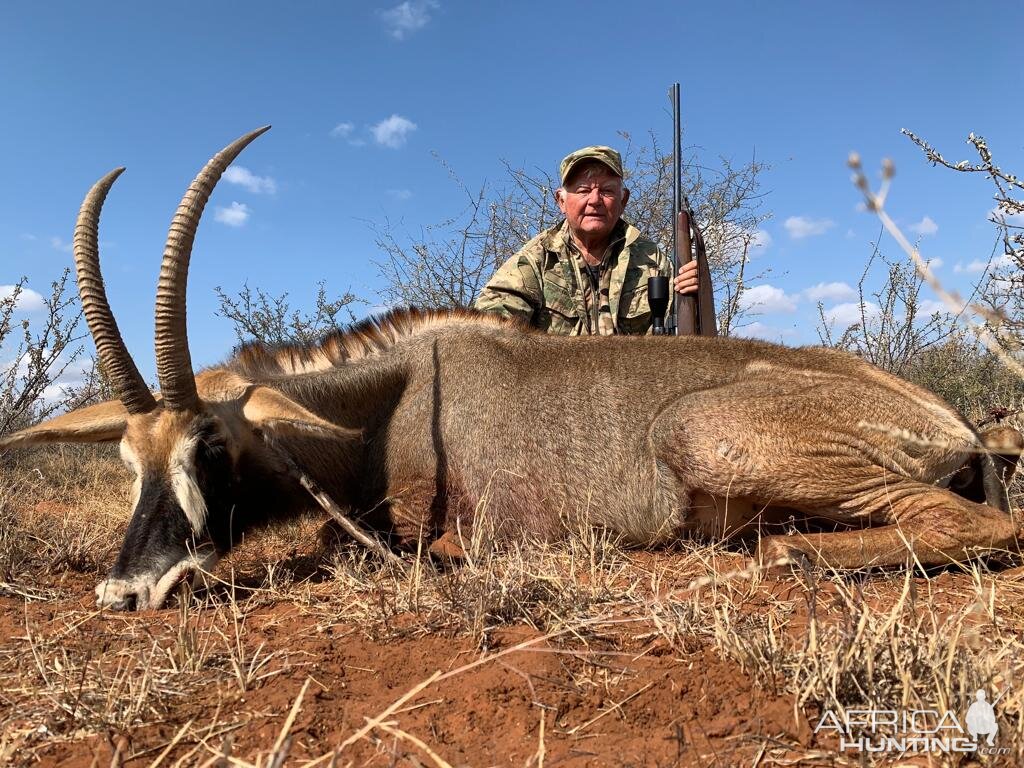 Hunting Roan in South Africa