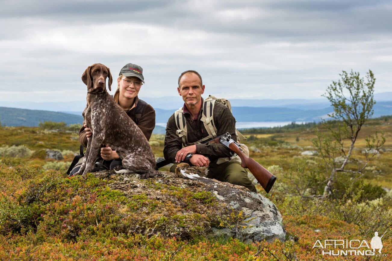 Hunting Rock Ptarmigan in Sweden