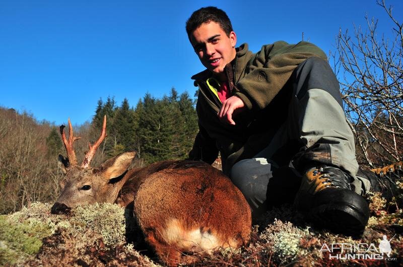 Hunting Roe Deer France