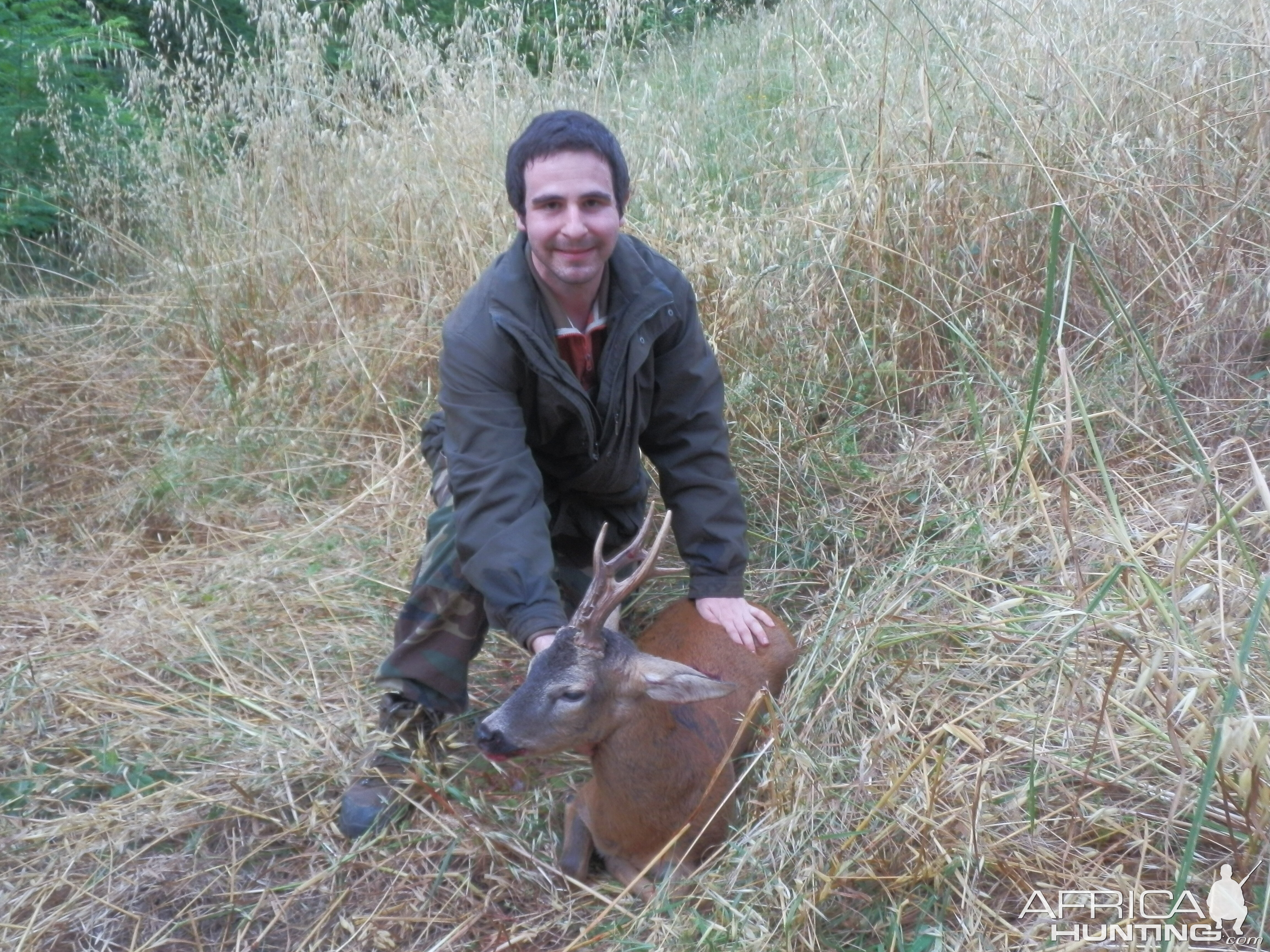 Hunting Roe Deer Italy