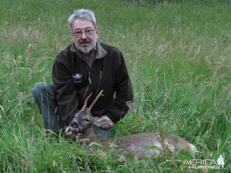 Hunting Roe Deer