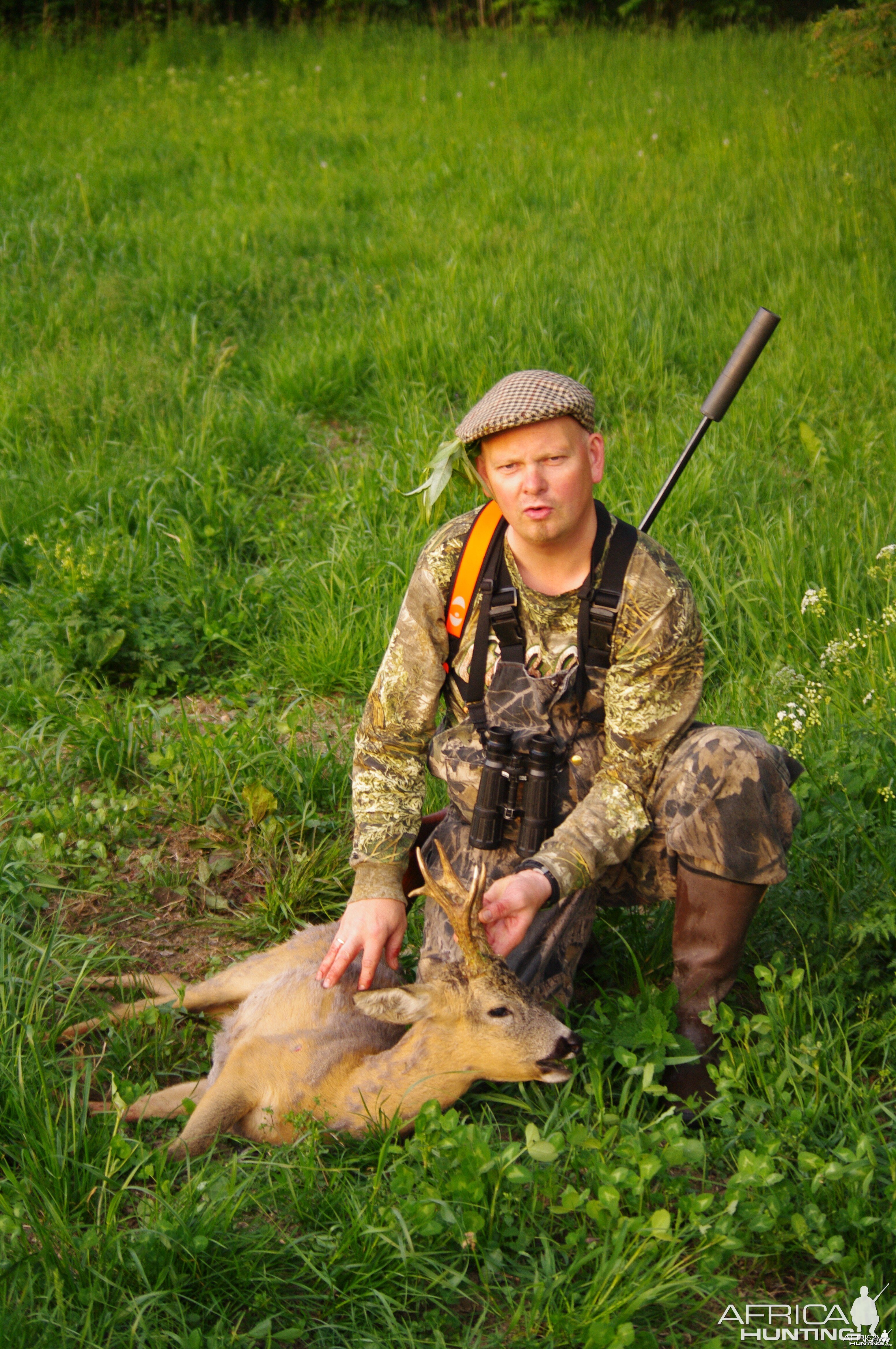 hunting roebucks in the czech republic