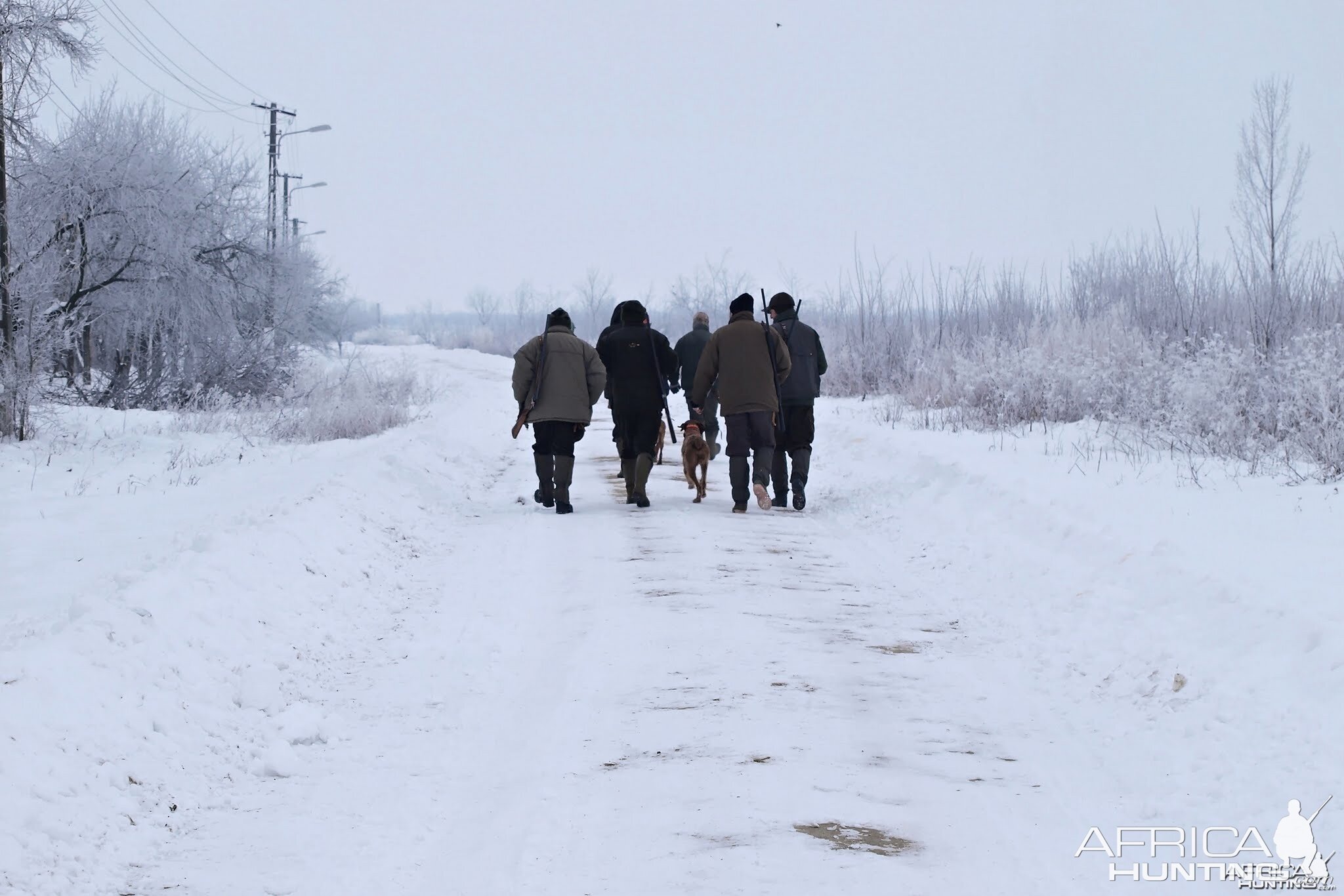 Hunting Romania