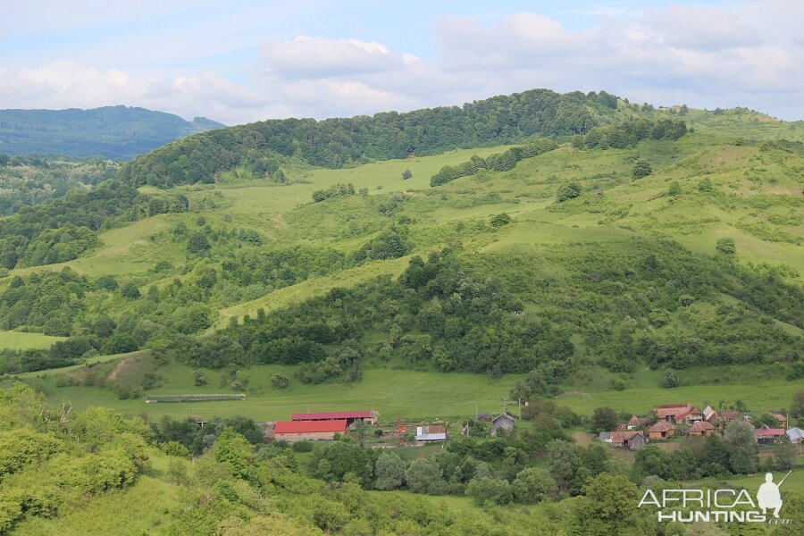 Hunting Romania