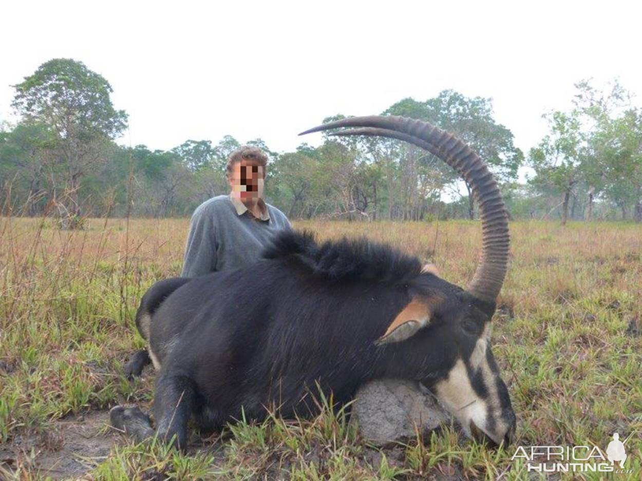 Hunting Sable Antelope in Mozambique