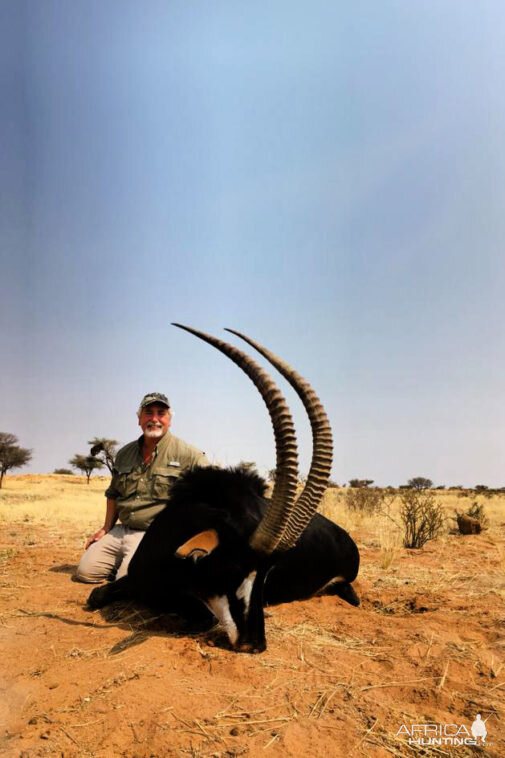 Hunting Sable Antelope in Namibia